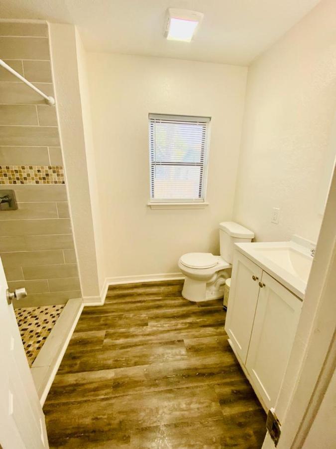 Two Fully Equipped Apartments And A Studio 5 Miles From The Beach 圣彼得堡 外观 照片
