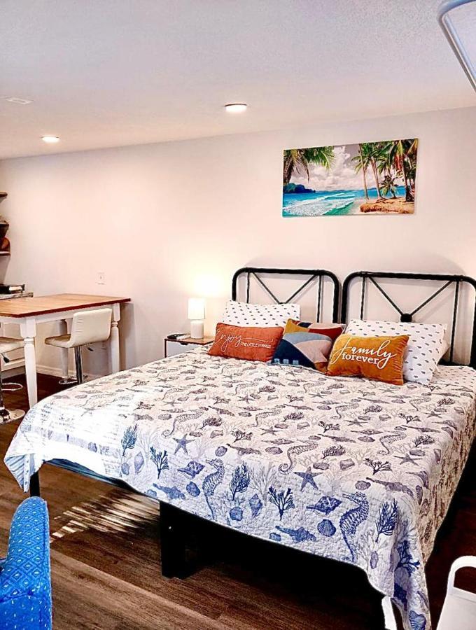 Two Fully Equipped Apartments And A Studio 5 Miles From The Beach 圣彼得堡 外观 照片