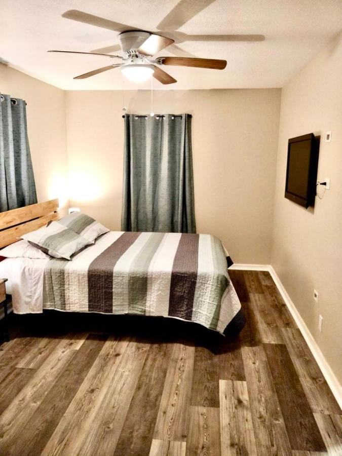 Two Fully Equipped Apartments And A Studio 5 Miles From The Beach 圣彼得堡 外观 照片